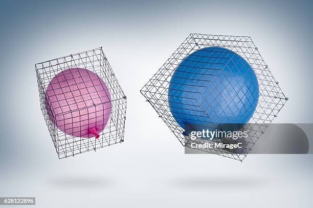 the caged freedom, fly with cage - birdcage stockfoto's en -beelden