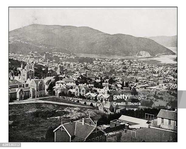 antique photograph of dunedin, new zealand - house new zealand stock illustrations