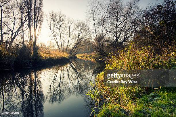colne brook at sunrise - berkshire stockfoto's en -beelden