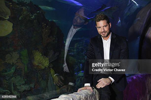 Spanish singer David Bisbal poses for photographers before a press conference to promote his new album "Hijos Del Mar" at Inbursa aquarium on...