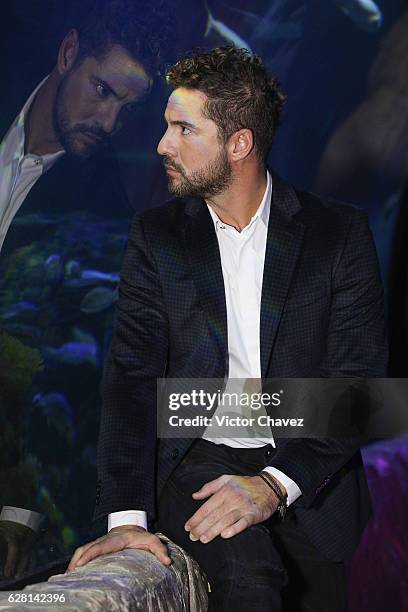 Spanish singer David Bisbal poses for photographers before a press conference to promote his new album "Hijos Del Mar" at Inbursa aquarium on...