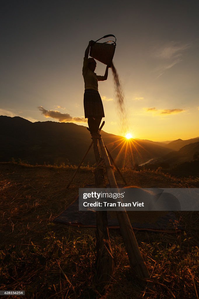 Vietnam - Traditional work of a H'Mong woman