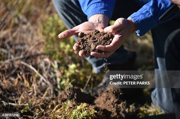 Photo taken on October 29, 2016 shows winemaker Justin Jarrett checking the soil at his vineyard in Orange. With record-breaking hot weather tipped...