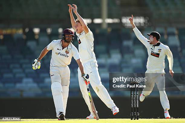 Simon Mackin of Western Australia appeals successfully for the wicket of Michael Neser of Queensland during day three of the Sheffield Shield match...