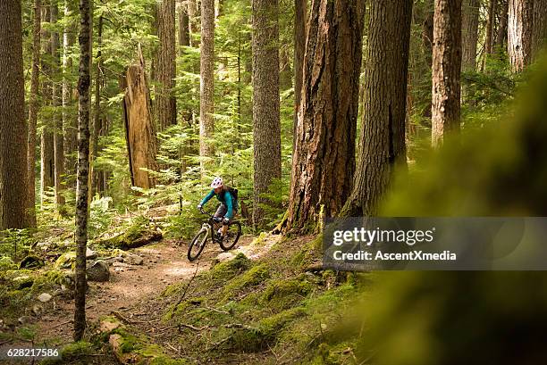 biking in a pristine forest - 踩登山車 個照片及圖片檔