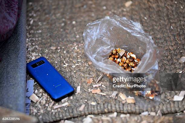 Mobile Phone and roasted maize grains as a snacks of ASMITA MAHARJAN, 28 yrs. Old, as works on her carving business at Khokana, Patan, Nepal on...