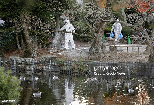 Officials of Higashiyama Zoo and Botanical Gardens in the central Japan city of Nagoya sterilize the facility on Dec. 7 a day after a tundra swan...