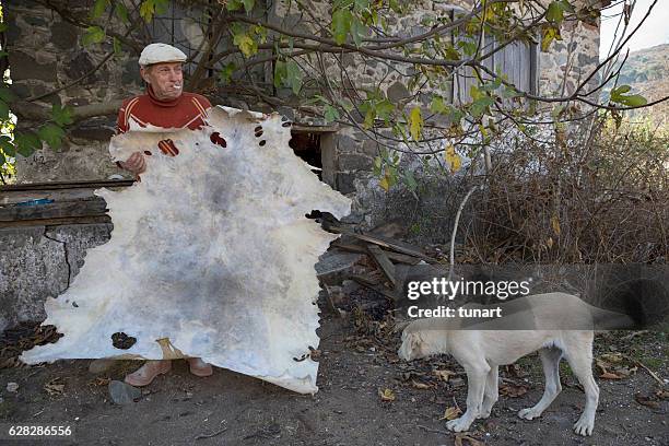 Parchmenter 32 Parchement Stock Photos, High-Res Pictures, and Images - Getty Images