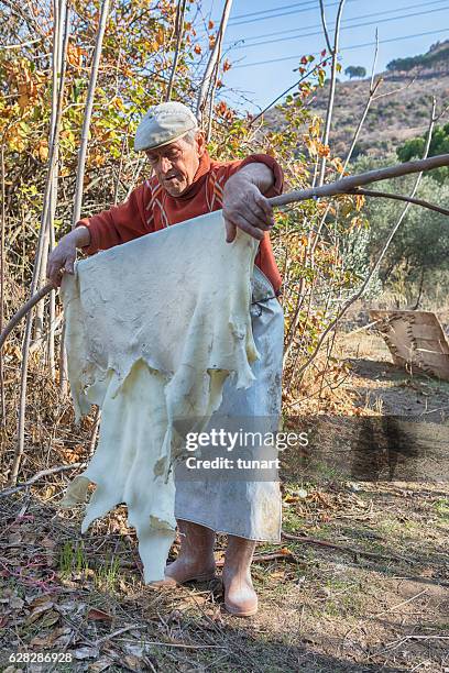 Parchmenter 32 Parchement Stock Photos, High-Res Pictures, and Images - Getty Images