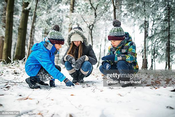 kinder beobachten tierspuren auf schnee im winterwald - familie vor wald stock-fotos und bilder