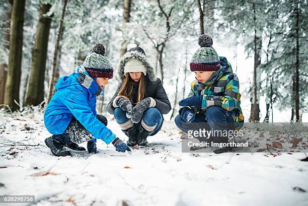 kids observing animal tracks on snow in winter forest - forest walking front stock pictures, royalty-free photos & images