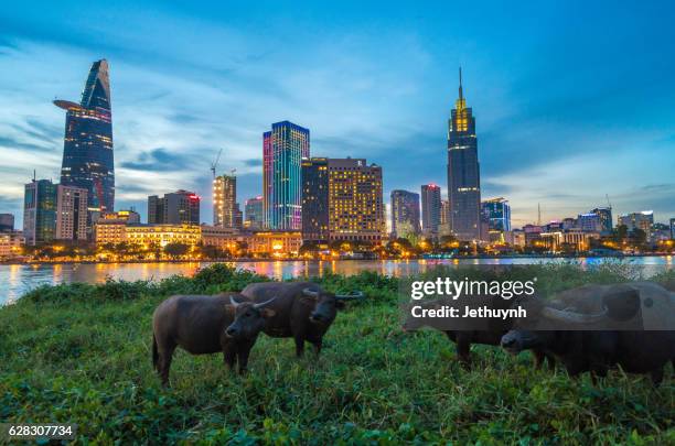 dramatic sunset in ho chi minh city with two side of saigon riverbank - saigon river fotografías e imágenes de stock