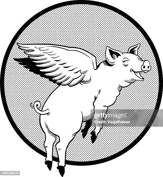 flying pig in black and white - piglet stock illustrations