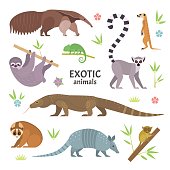 Exotic animals.