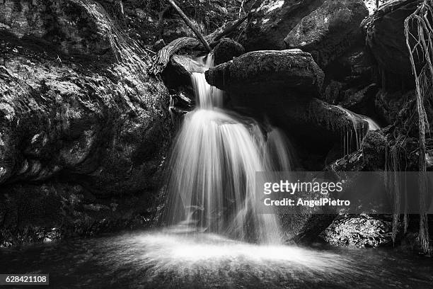 the cascade - paisajes stock pictures, royalty-free photos & images