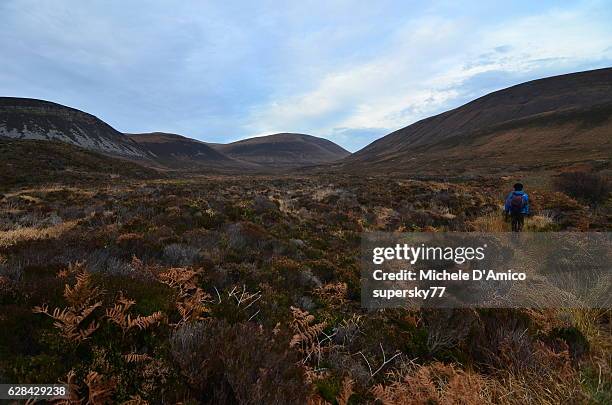 hiking in the windy peat bog - peat stock pictures, royalty-free photos & images