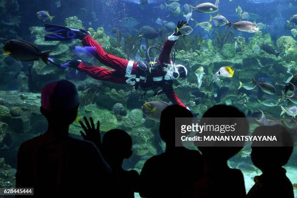 Diver wearing a Santa Claus outfit swims inside a fish-tank at the Aquaria KLCC in Kuala Lumpur on December 8, 2016. - The scuba-diving Santa Claus...