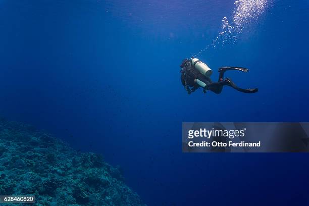 scuba diver swimming in the sea - scuba diving stock pictures, royalty-free photos & images
