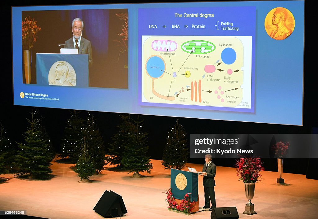 Nobel laureate Ohsumi gives lecture in Stockholm