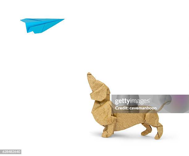 origami dachshund looking up at paper plane - origami asia stock pictures, royalty-free photos & images