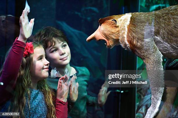 Emily Mann and Lucas Hashem-Ford view a Proboscis monkey during a press preview for a new taxidermy exhibition on December 8, 2016 in Edinburgh,...