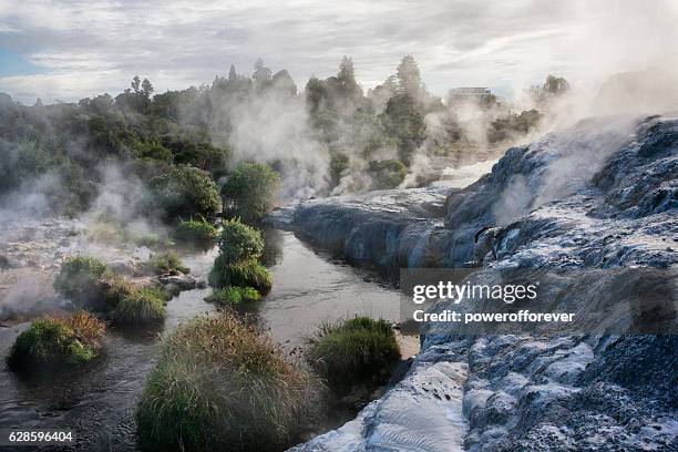 whakarewarewa thermal park in rotorua, new zealand - fonte termal imagens e fotografias de stock