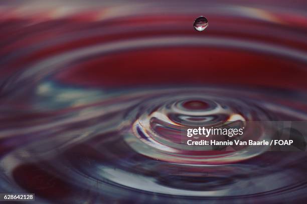 red water drop - hannie van baarle photos et images de collection