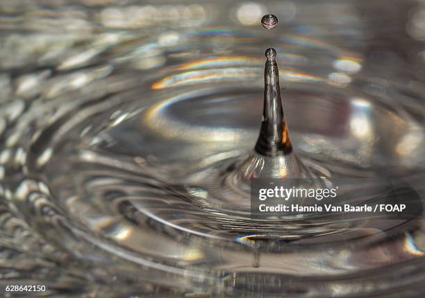 splash in water - hannie van baarle stock pictures, royalty-free photos & images