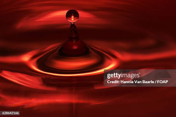 close-up of red water - hannie van baarle stock pictures, royalty-free photos & images