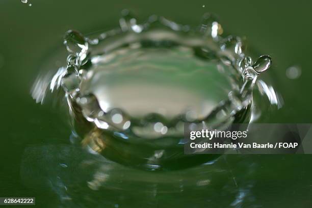 close-up of water drop - hannie van baarle stock pictures, royalty-free photos & images