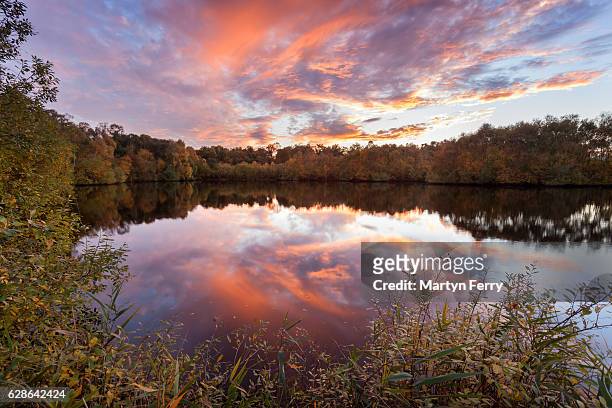 holme fen sunset reflection, holme, cambridgeshire, east anglia, uk - fen stock pictures, royalty-free photos & images