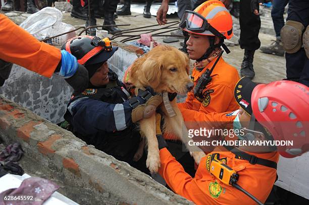 Rescue team lifts their dog as they search for victims under the collapsed buildings in Pidie Jaya, Aceh province, on December 9 after a 6.4...