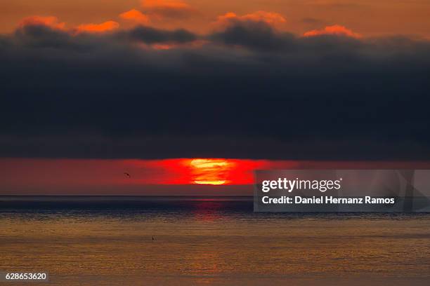 big red sun at sunset in the sea. galicia. spain - guarda sol stock pictures, royalty-free photos & images