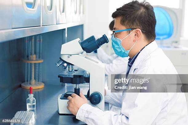 two scientists in a lab looking through microscope - gene wang stock pictures, royalty-free photos & images