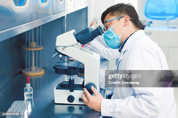 two scientists in a lab looking through microscope - gene wang stockfoto's en -beelden