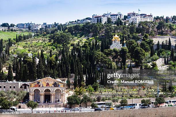 mount of olives - mont des oliviers photos et images de collection