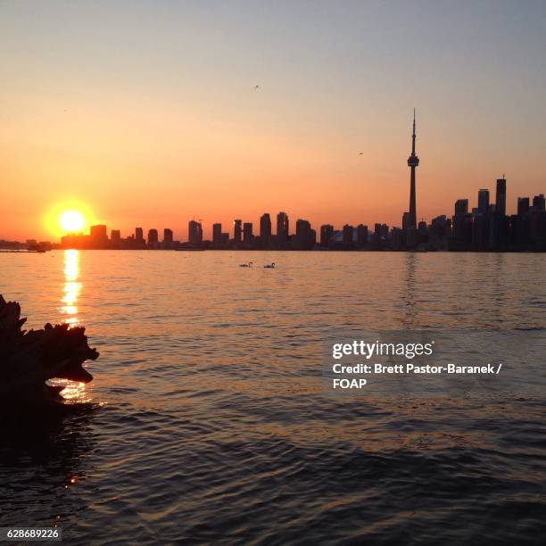 view of cn tower during sunset - lake ontario stock pictures, royalty-free photos & images