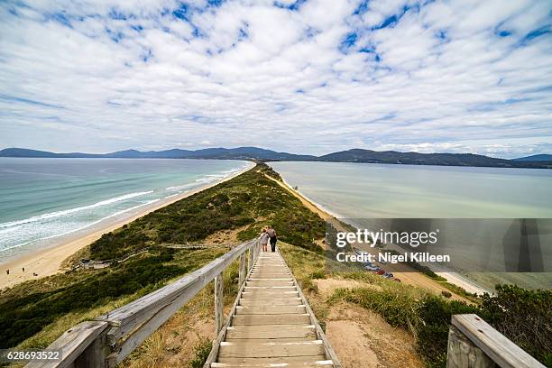 'the neck' bruny island. tasmania - hobart stockfoto's en -beelden