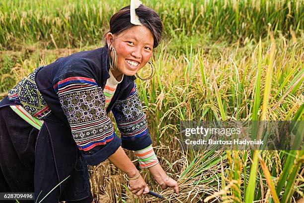 vietnamese minority people - woman from black hmong hill tribe - hmong village stock pictures, royalty-free photos & images
