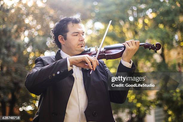 geiger im park - klassisches konzert stock-fotos und bilder