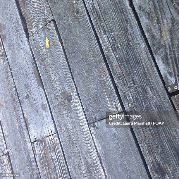 leaf on grey wooden - laura rau stock-fotos und bilder