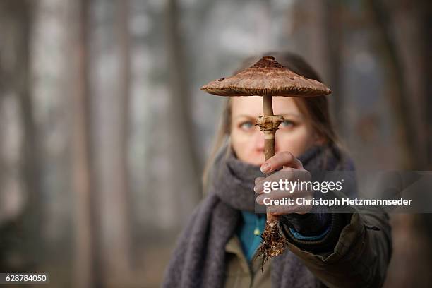 woman holding mushroom - styria stock-fotos und bilder