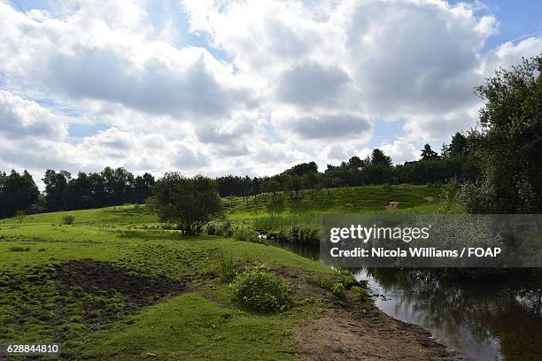 view of a stream flowing through the fields - nickola beck stock pictures, royalty-free photos & images