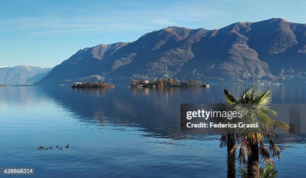 panorama view of the brissago islands on lake maggiore, switzerland - locarno stock-fotos und bilder