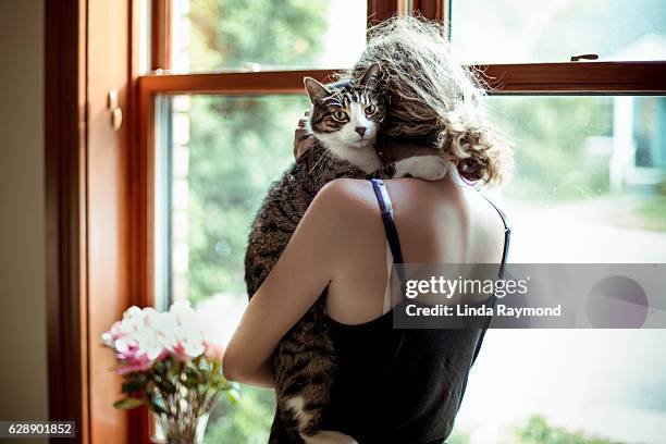 girl holding a cat by a window - girls cuddling cat stock pictures, royalty-free photos & images