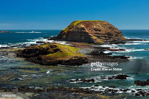 the nobbies, phillip island - phillip island stock pictures, royalty-free photos & images