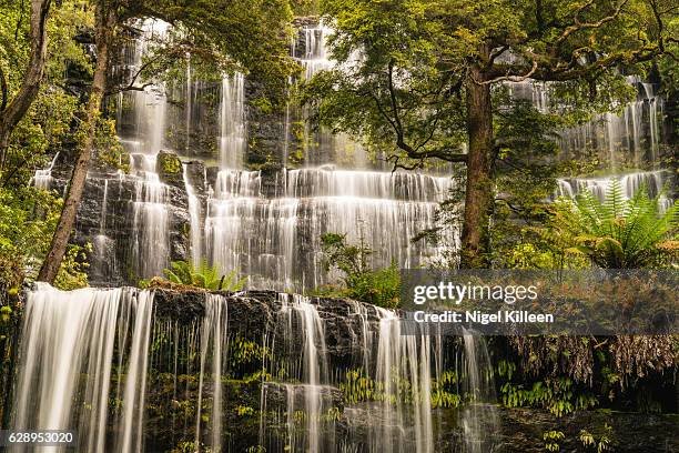 russell falls, tasmania - hobart stockfoto's en -beelden