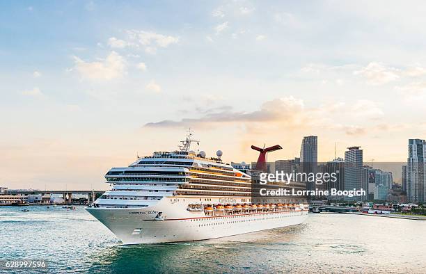 cruise ship downtown port of miami florida travel destinations usa - carnival cruise bildbanksfoton och bilder