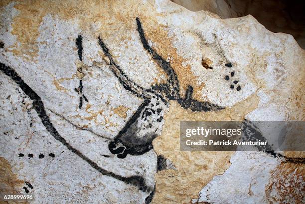 International Center of Parietal Art at the foot of the hill of Lascaux.The major element of the site is the facsimile which reproduces the entirely...