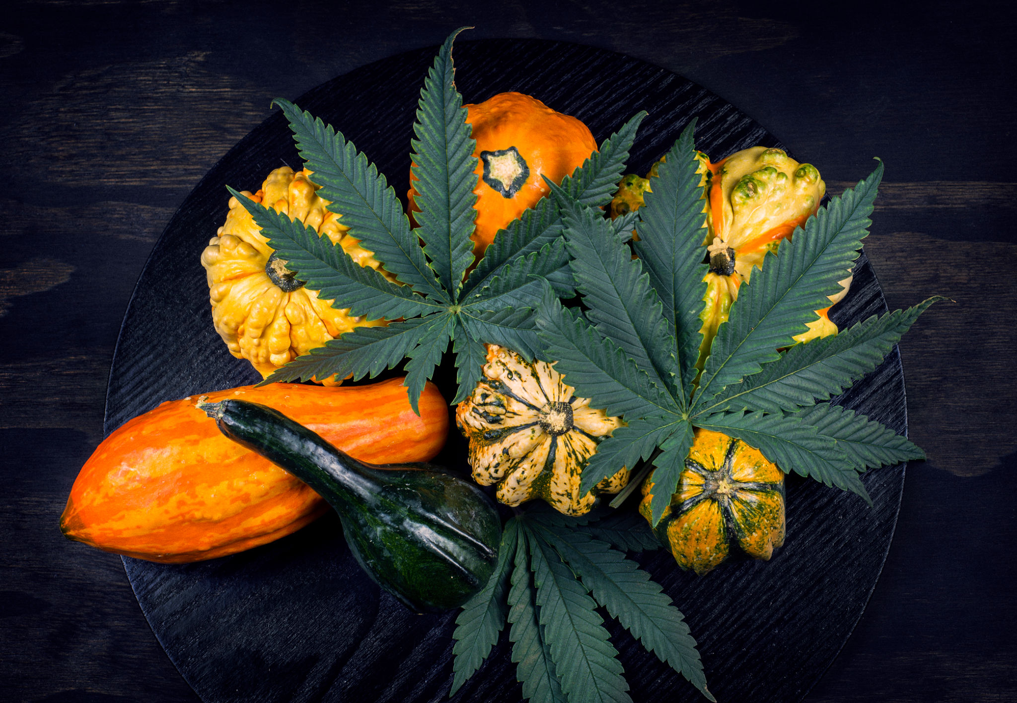 autumn cannabis
